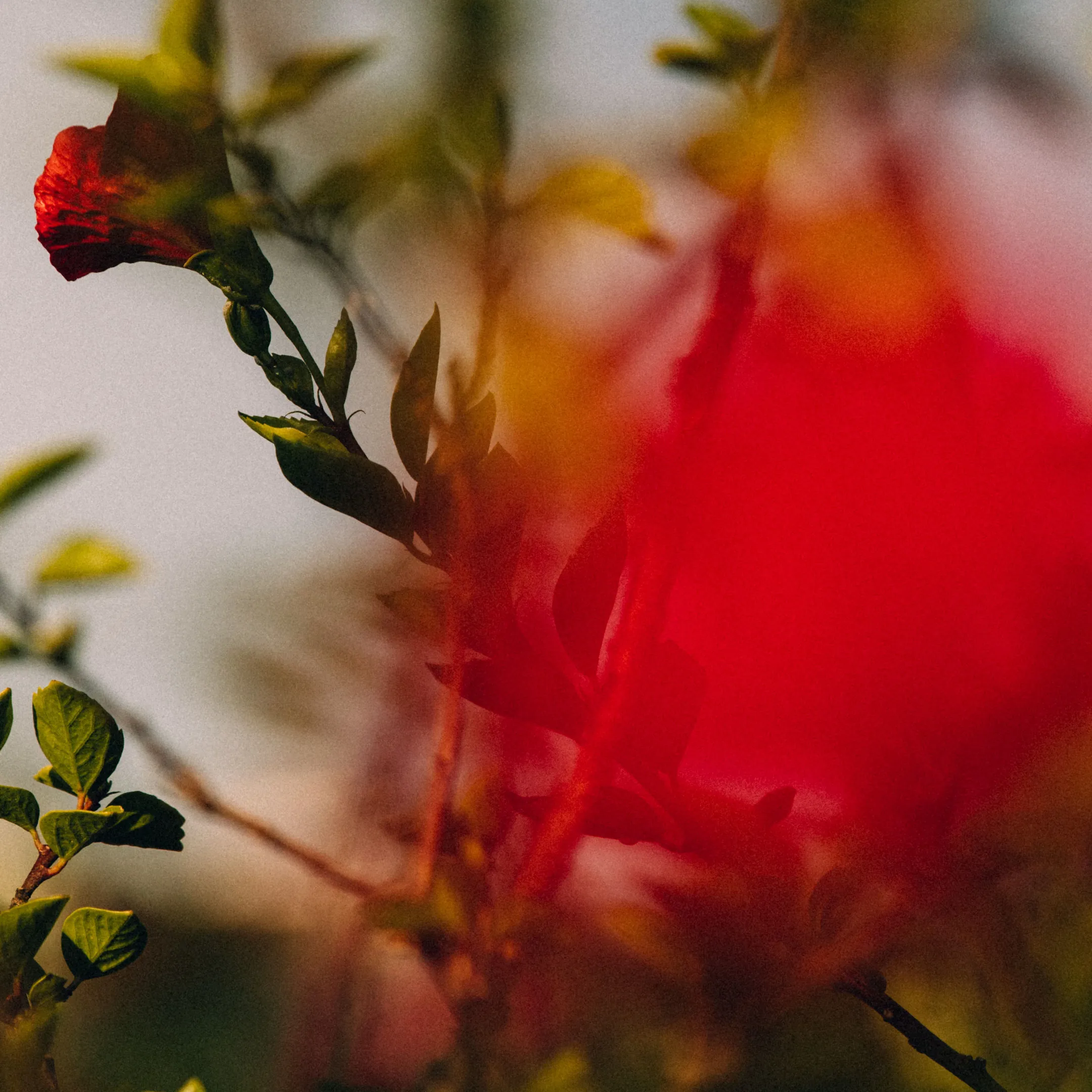 Great Outdoors Summer KV