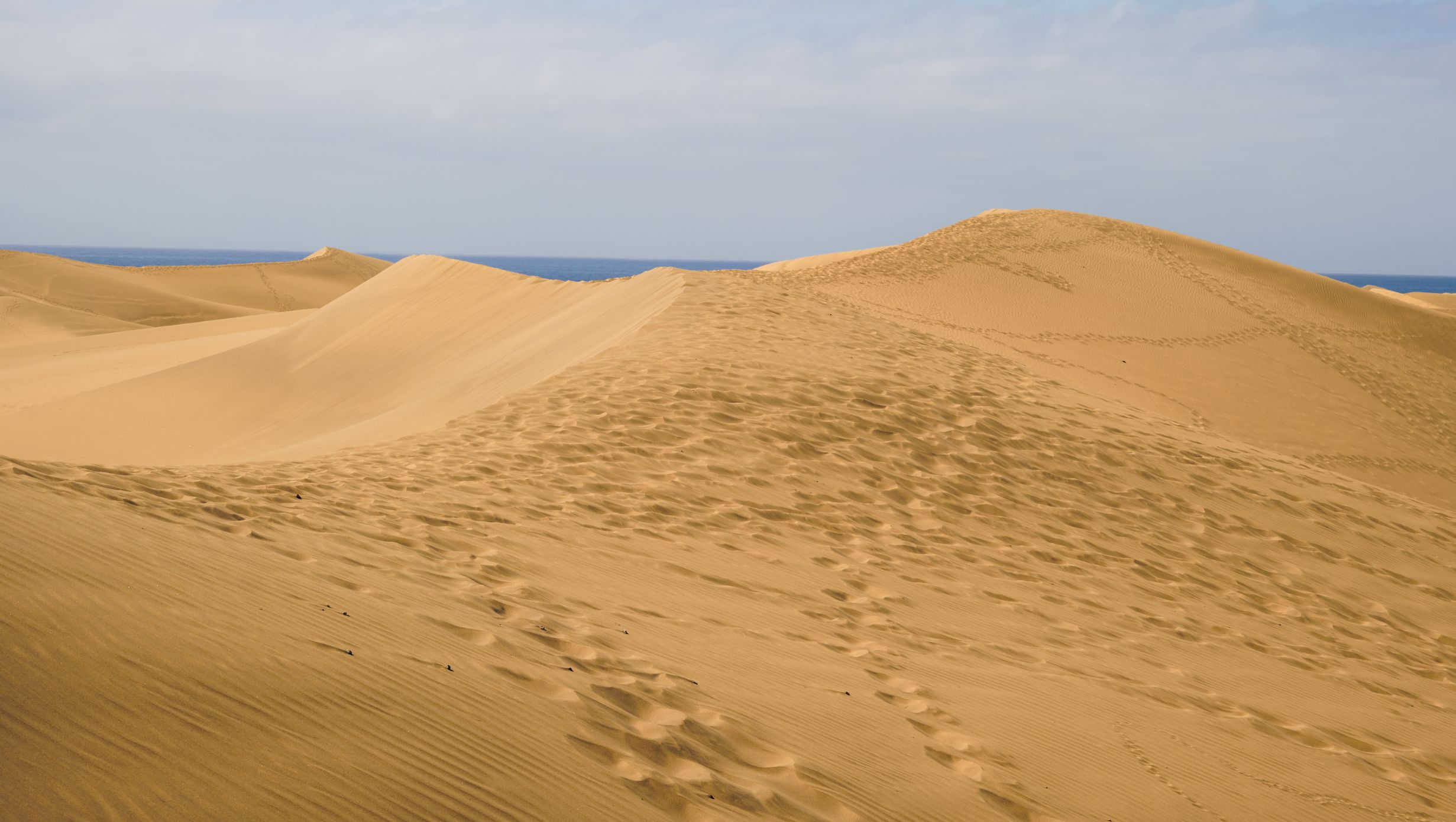 Bohemia Suites And Spa Theme Box 03 Destination