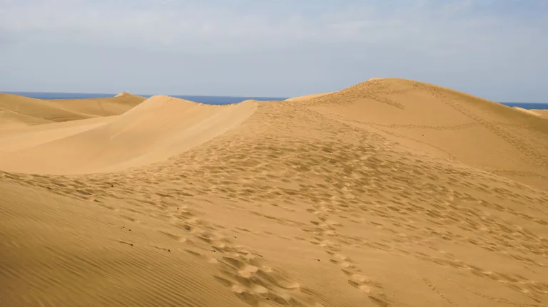 Bohemia Suites And Spa Theme Box 03 Destination