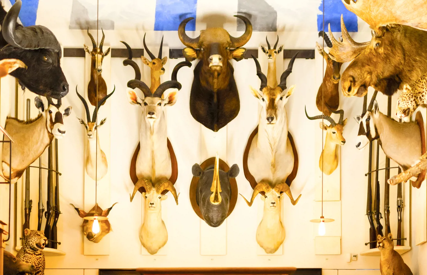 Musée de la Chasse et de la Nature