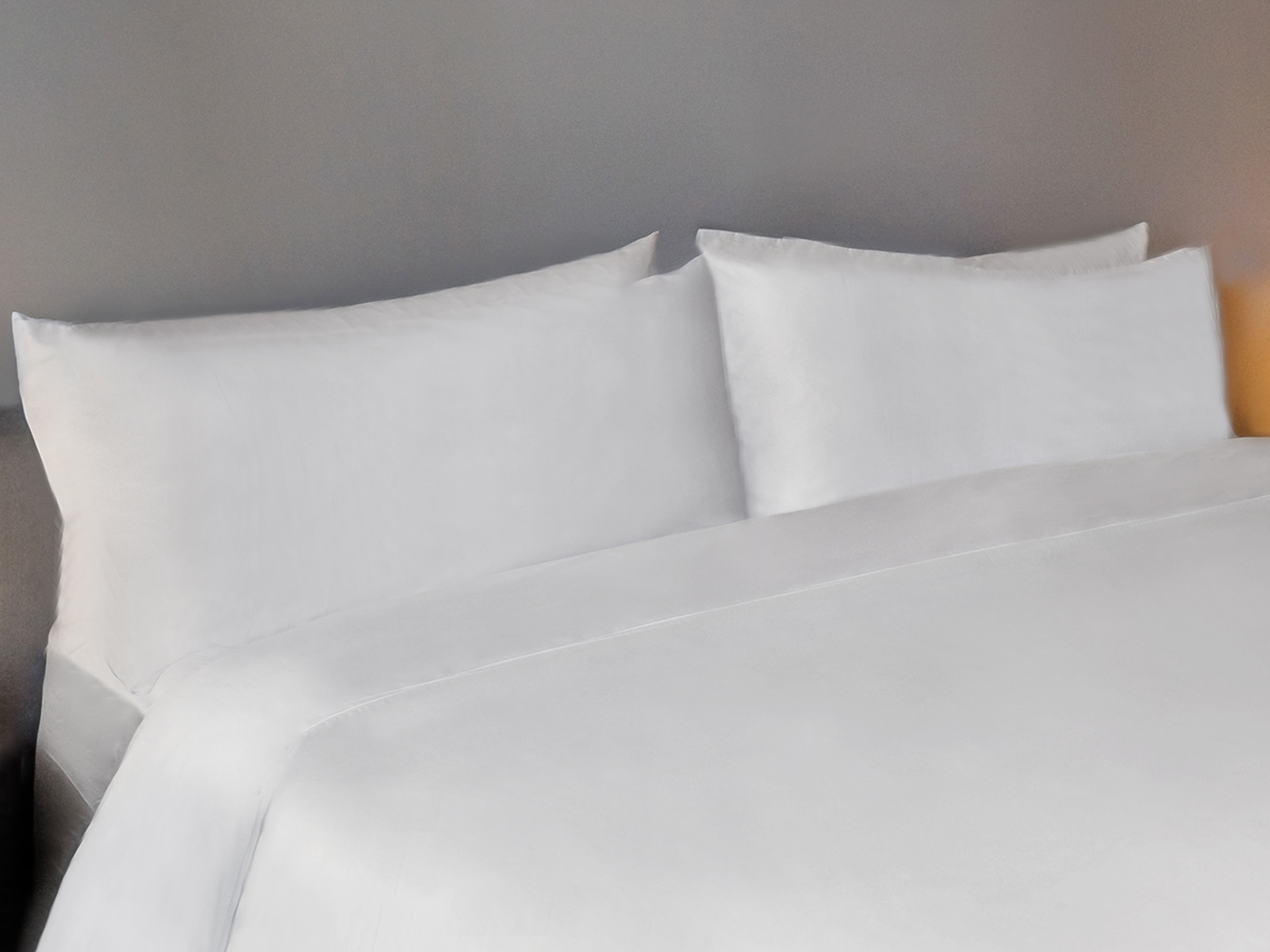 Wake Biohotel Placeholder R V2