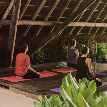 Papaya Playa Project Usp 03