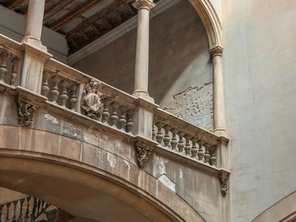 001 SP Nobis Palma Header