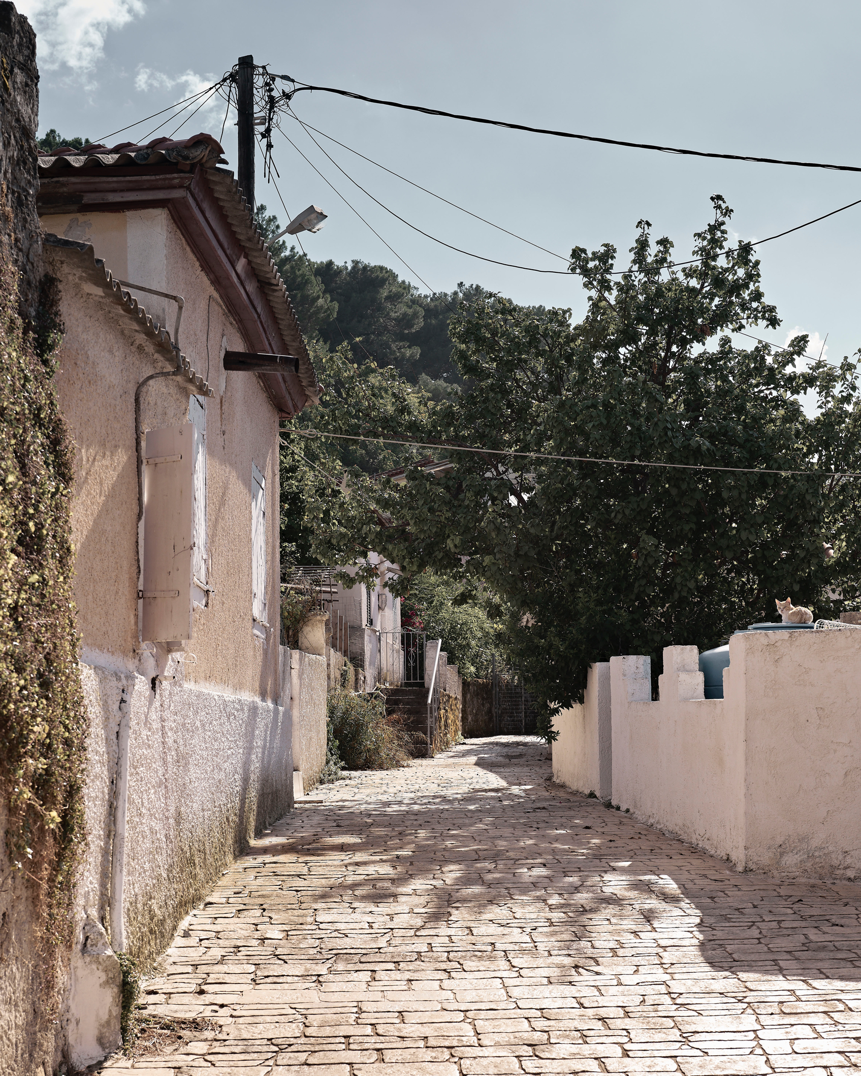 007 Olea Suite Hotel Street