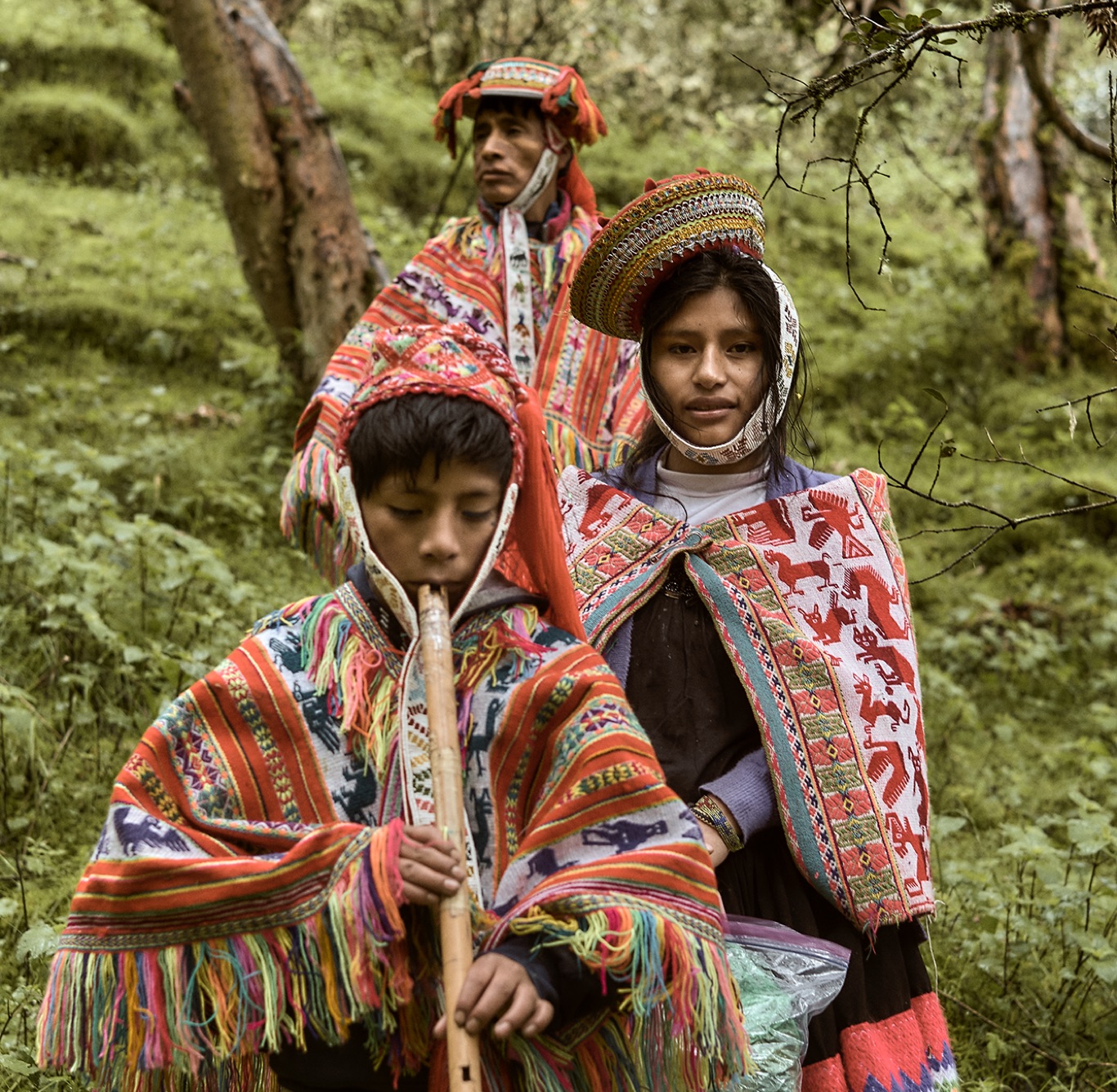 Pachamama's Land Part II 001