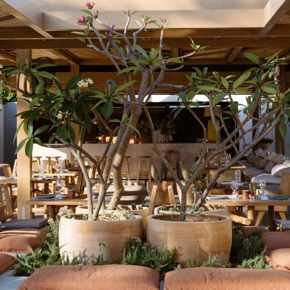 Phaea Cretan Malia Theme Box 04 Food And Drink 3