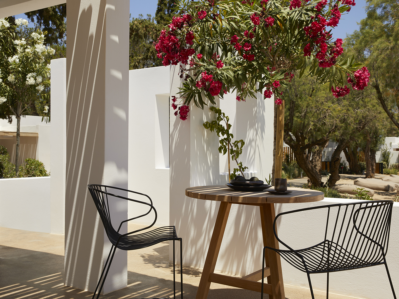 Minos Beach Superior Beachfront Bungalow R 08