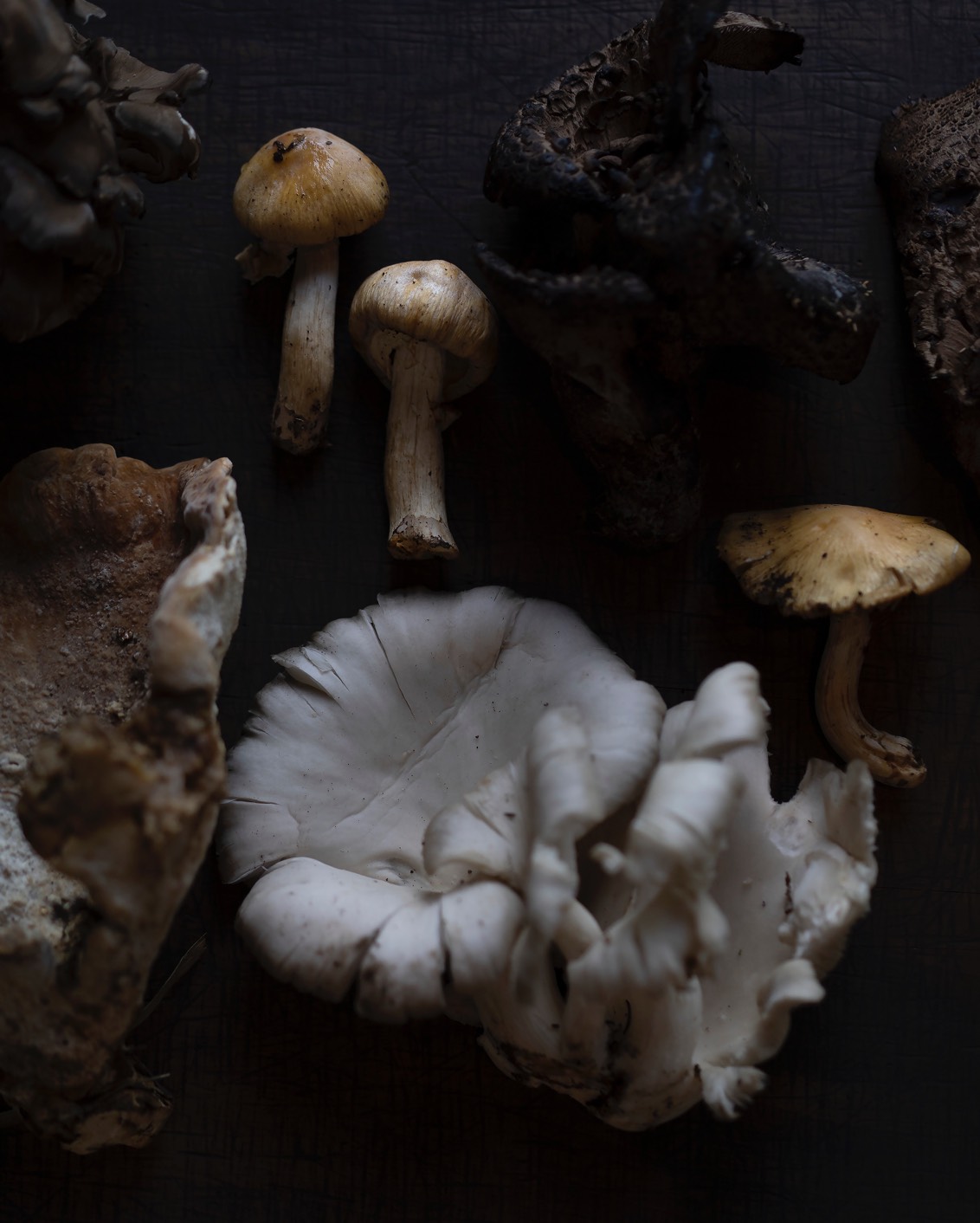 Journal Stays To Savor 19 A