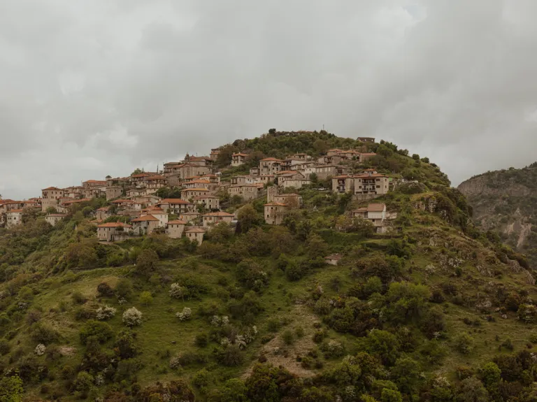 SP Manna Journal Article Design 6