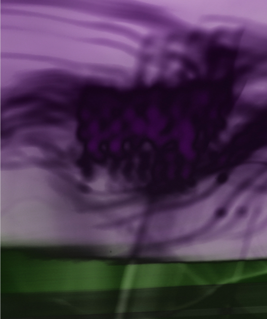 28 Whitney Biennale New York