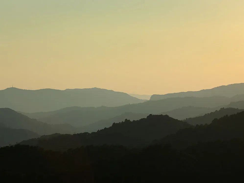 Journal Article Monastic KV