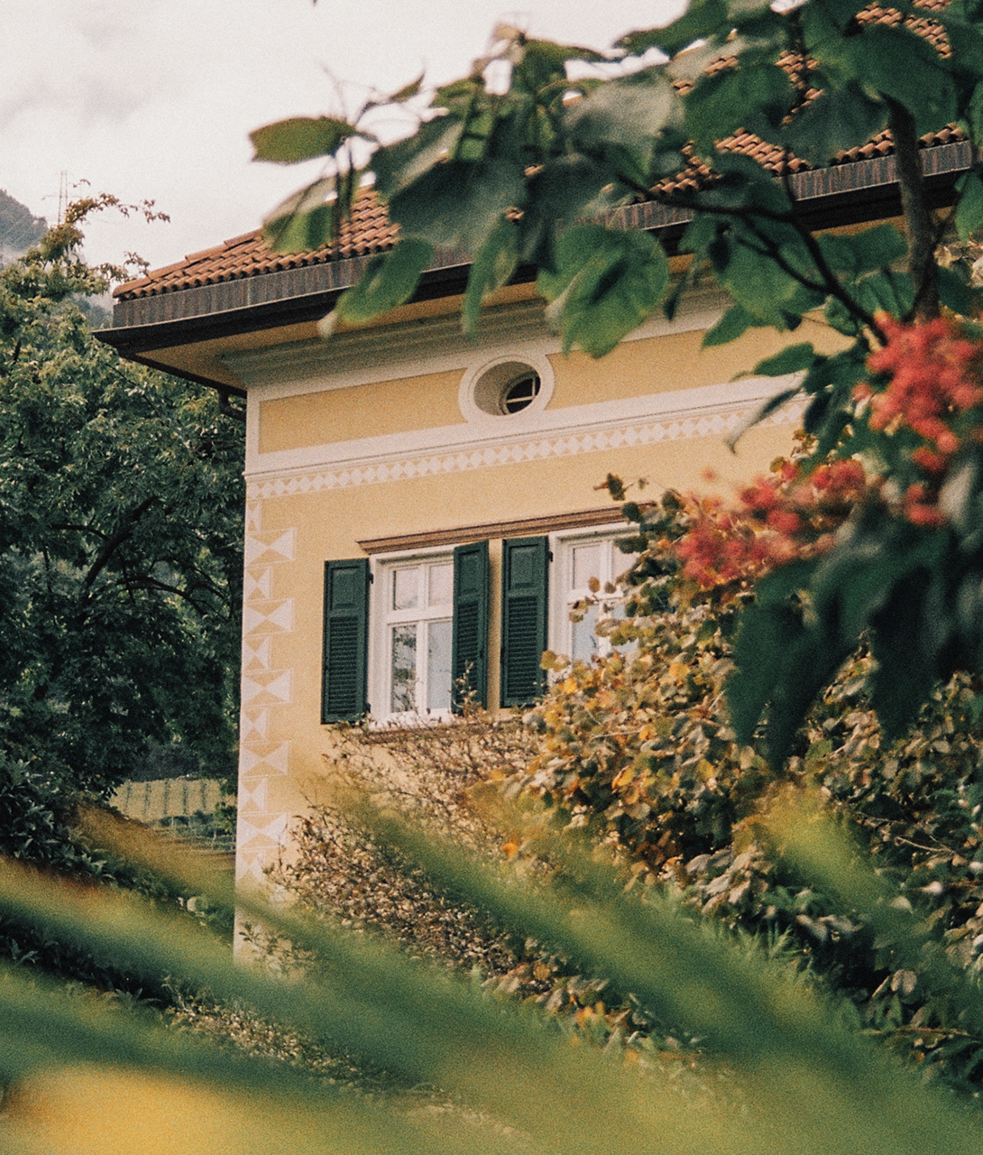 Villa Arnica Architecture