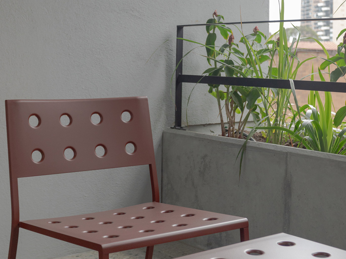 Wake Medellin Signature King R 07