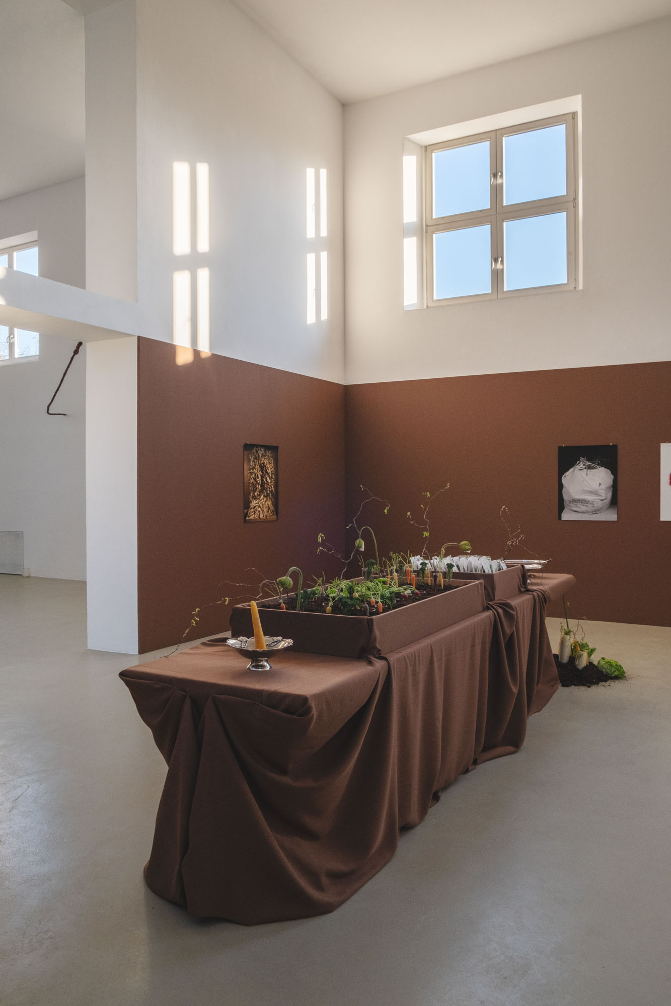 DH25 Sessions S Sydney Gallery 13