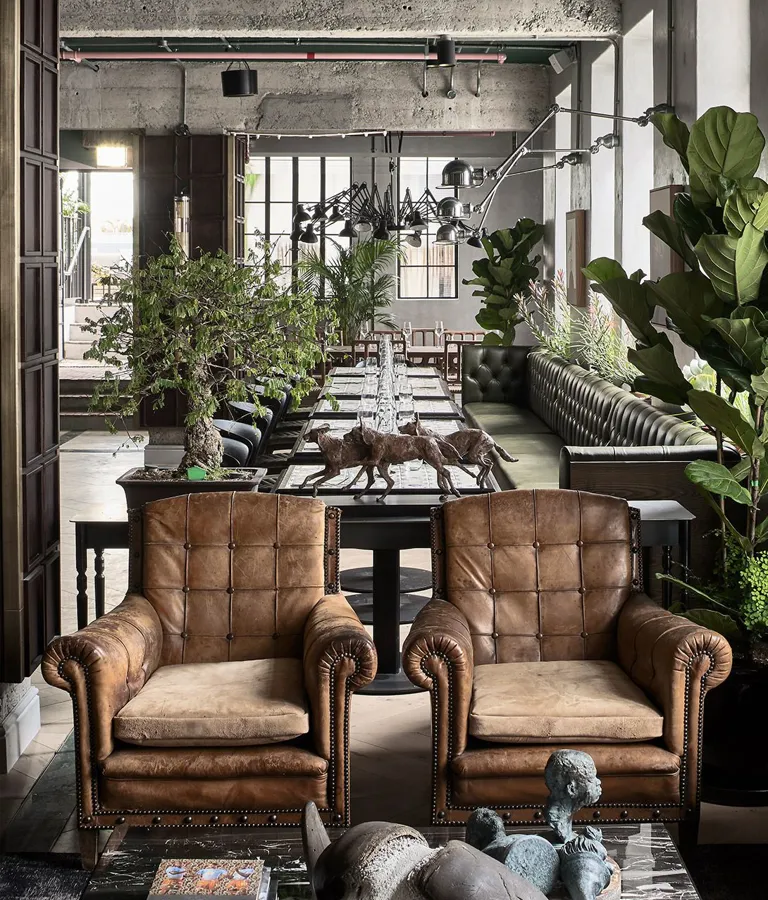 Gorgeous George Design in Cape Town