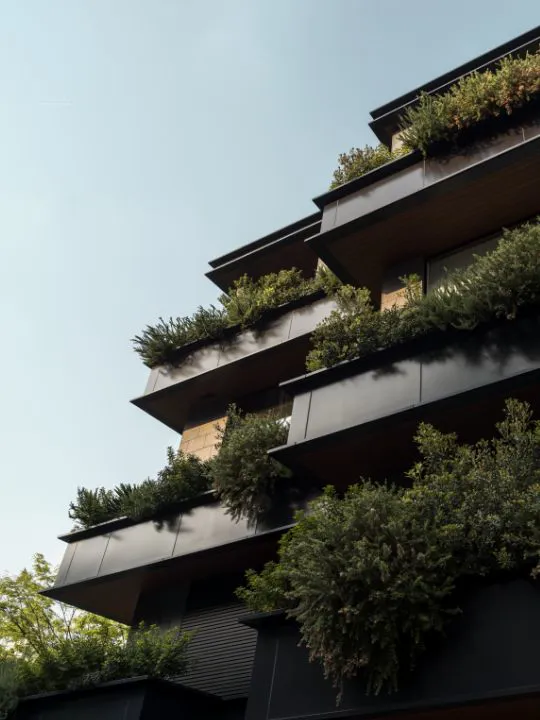 15 DH Flower Hot Spots In Spring Japan Trunk Hotel