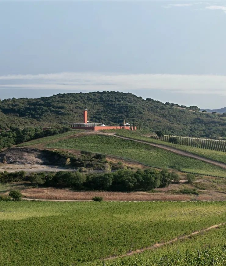 BP Wineries Architects 04