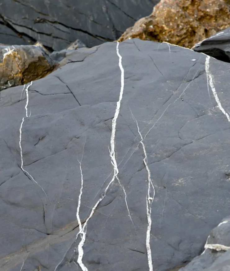 09 Culture Blogpost Sweet Tooth