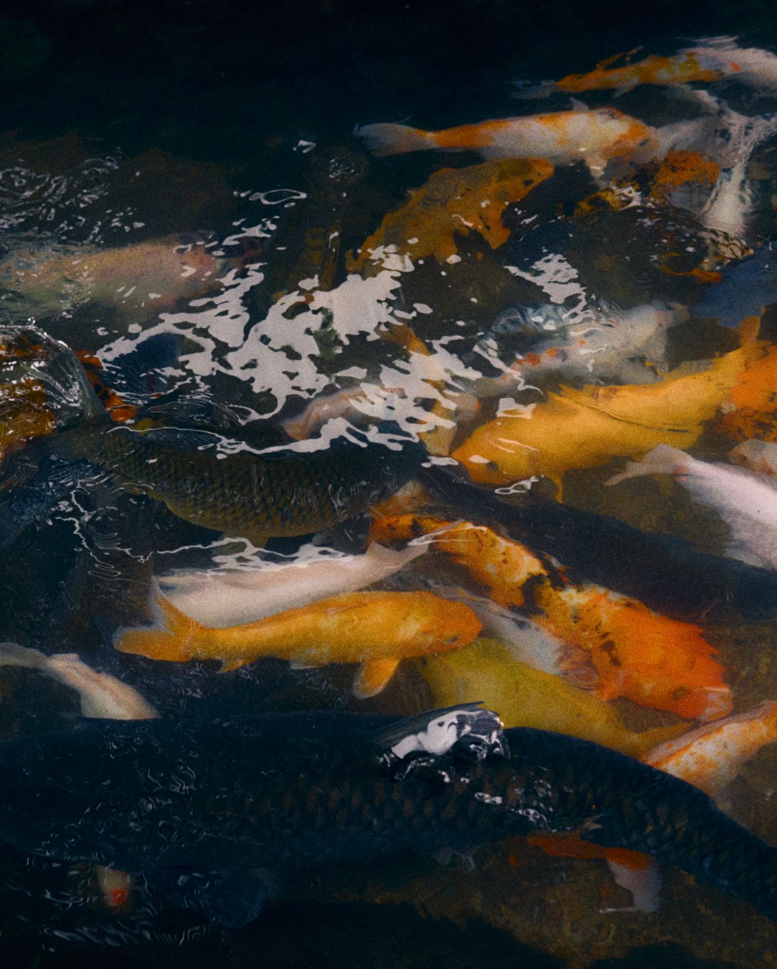 Destination Lombok Image 18