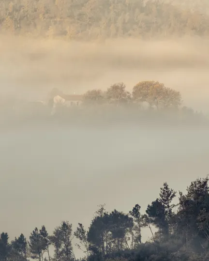 024 Foggy Destinations BP