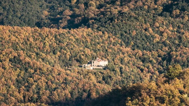 07 Culture Blogpost Fall Foliage