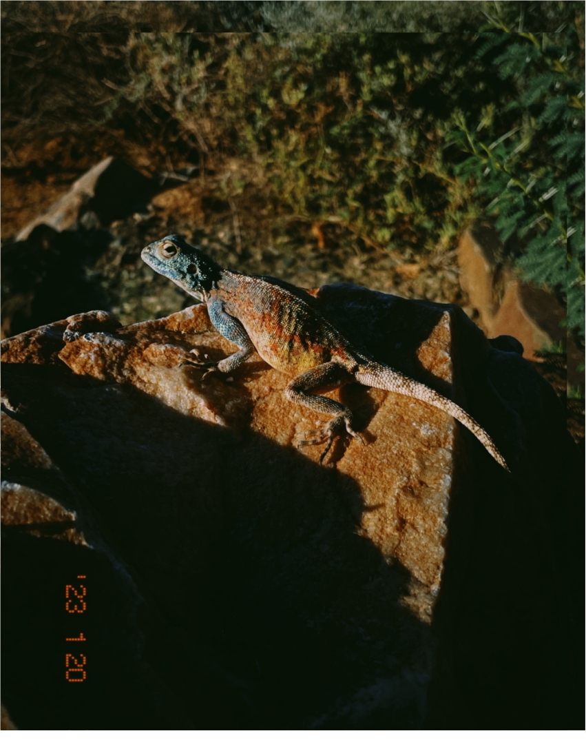 TGT Christian Naehtler 03