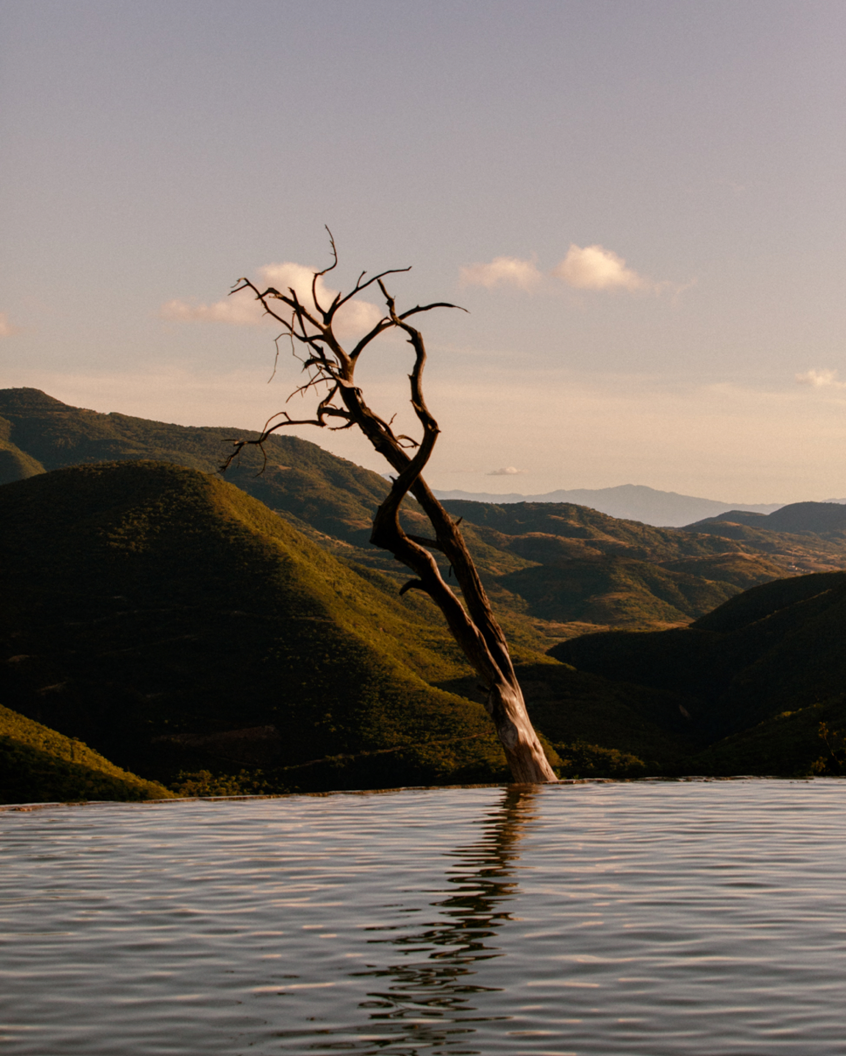 014 Mexico III Oaxaca Mountains Tree