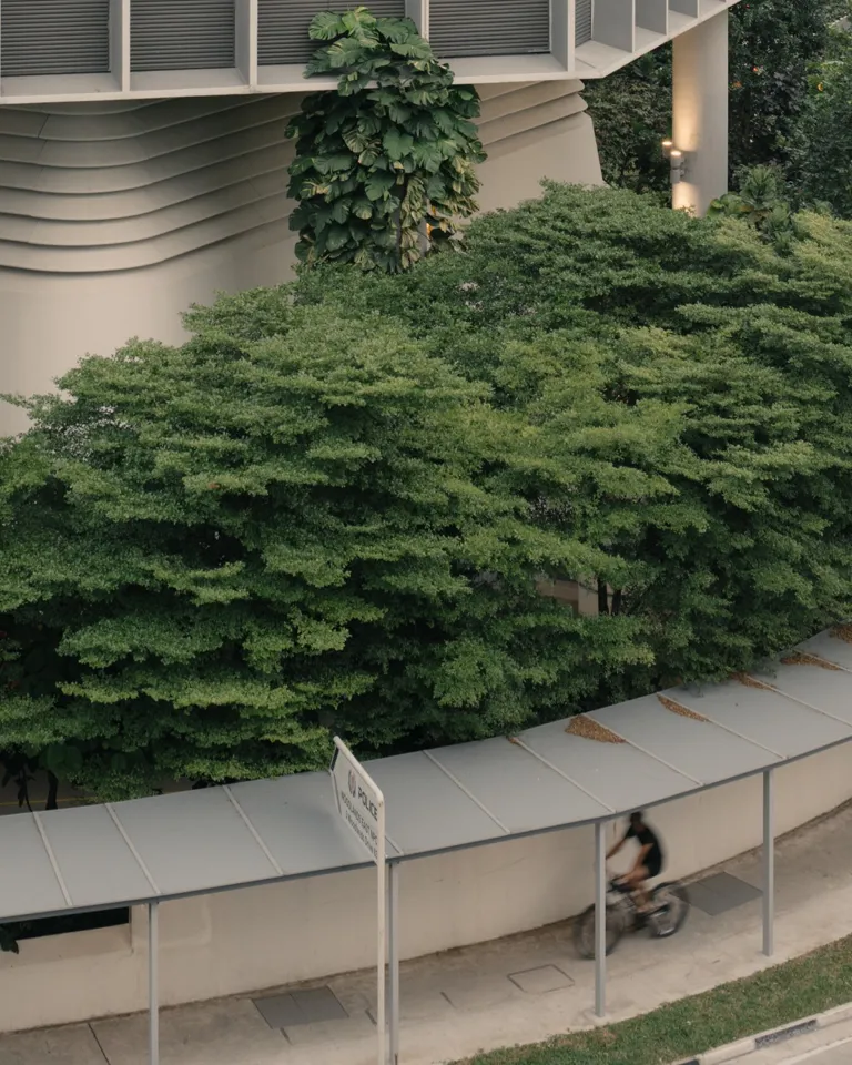 DH Originals Richard Hassell 07