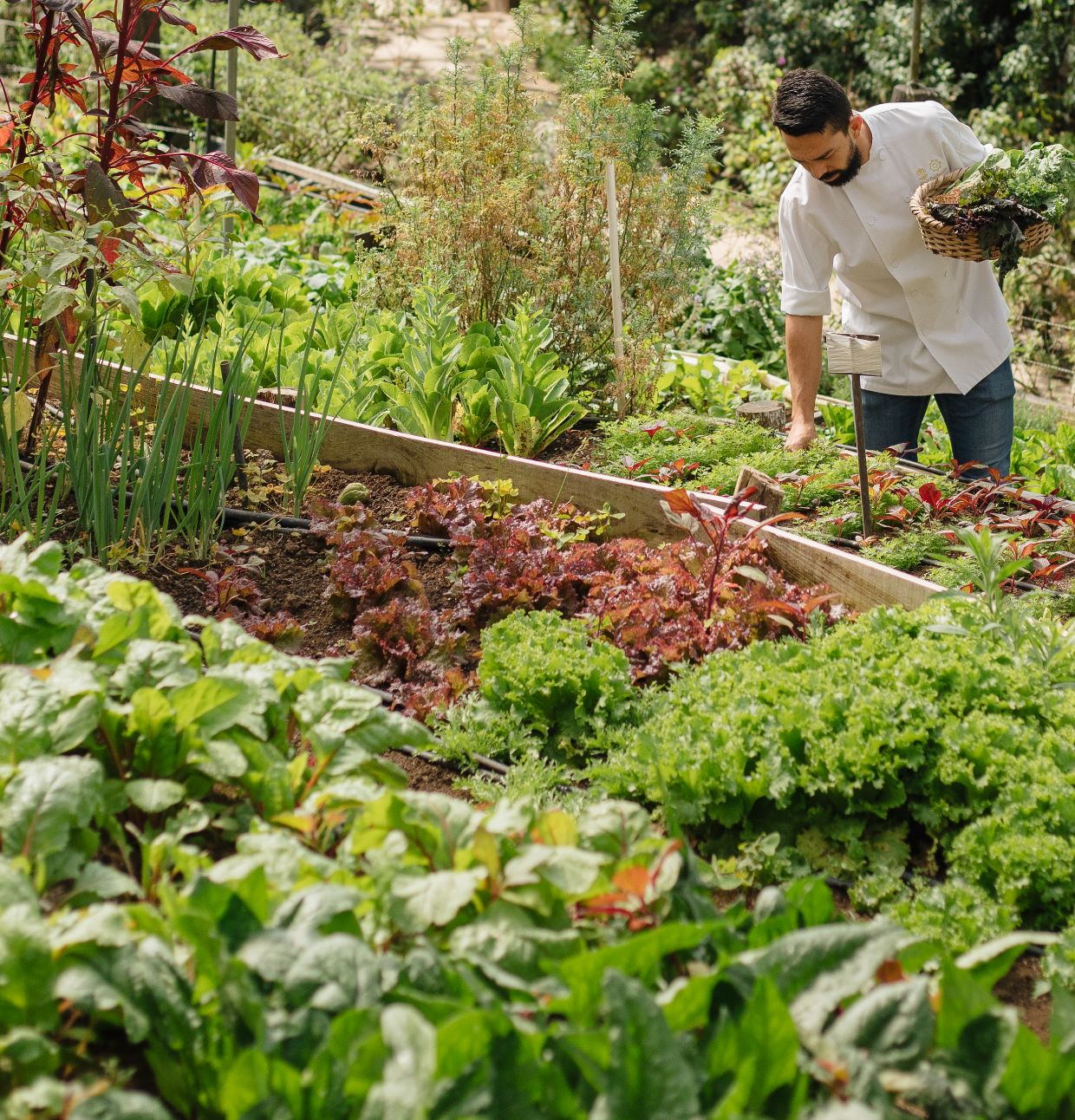 Hotel Belmar Theme Box 02 Sustainability 1