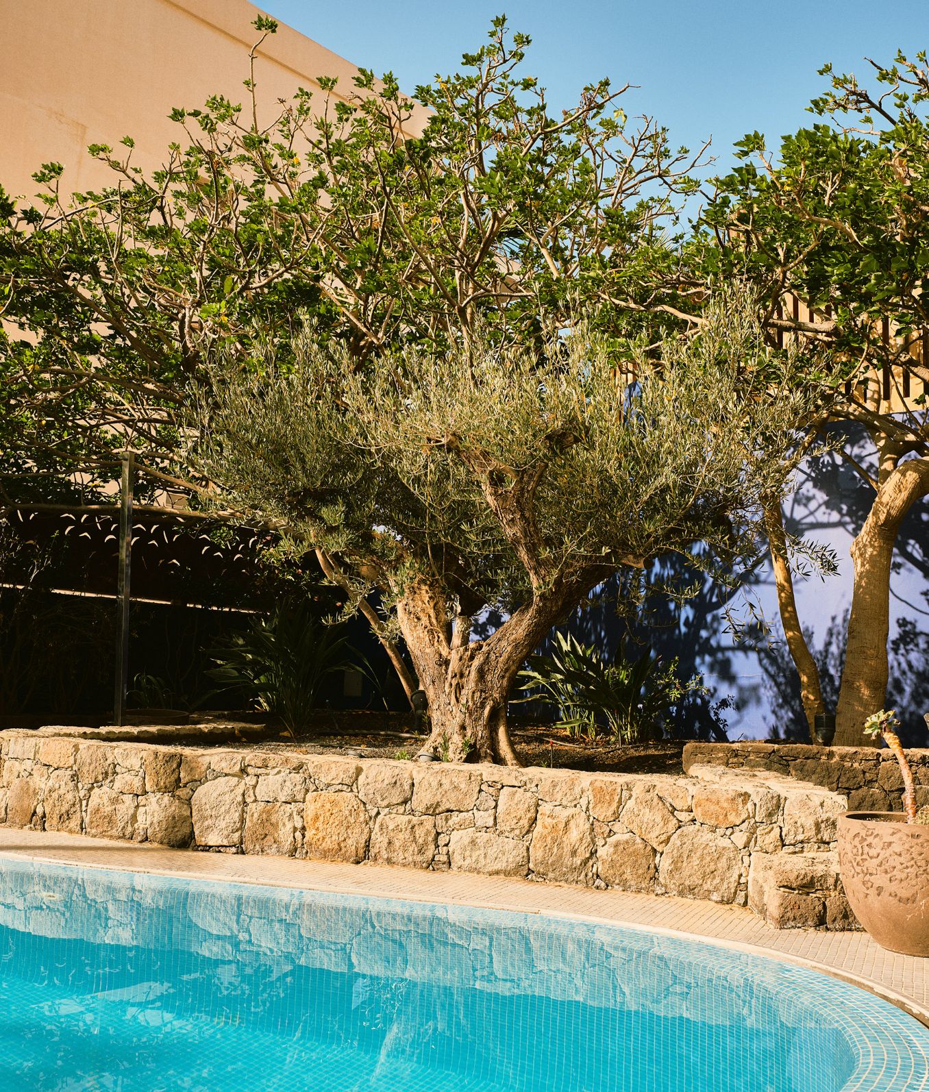 Bohemia Suites & Spa