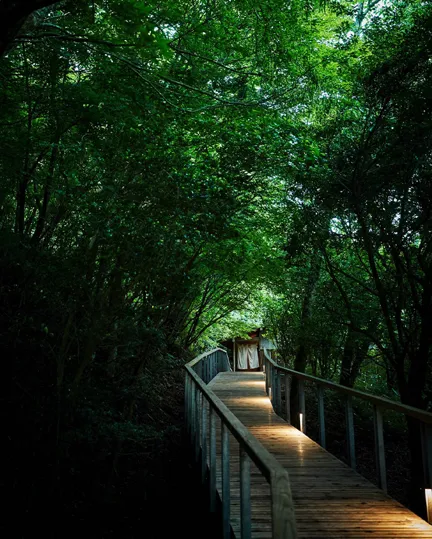 Mag Best Of Lodgeshakone Retreat 01