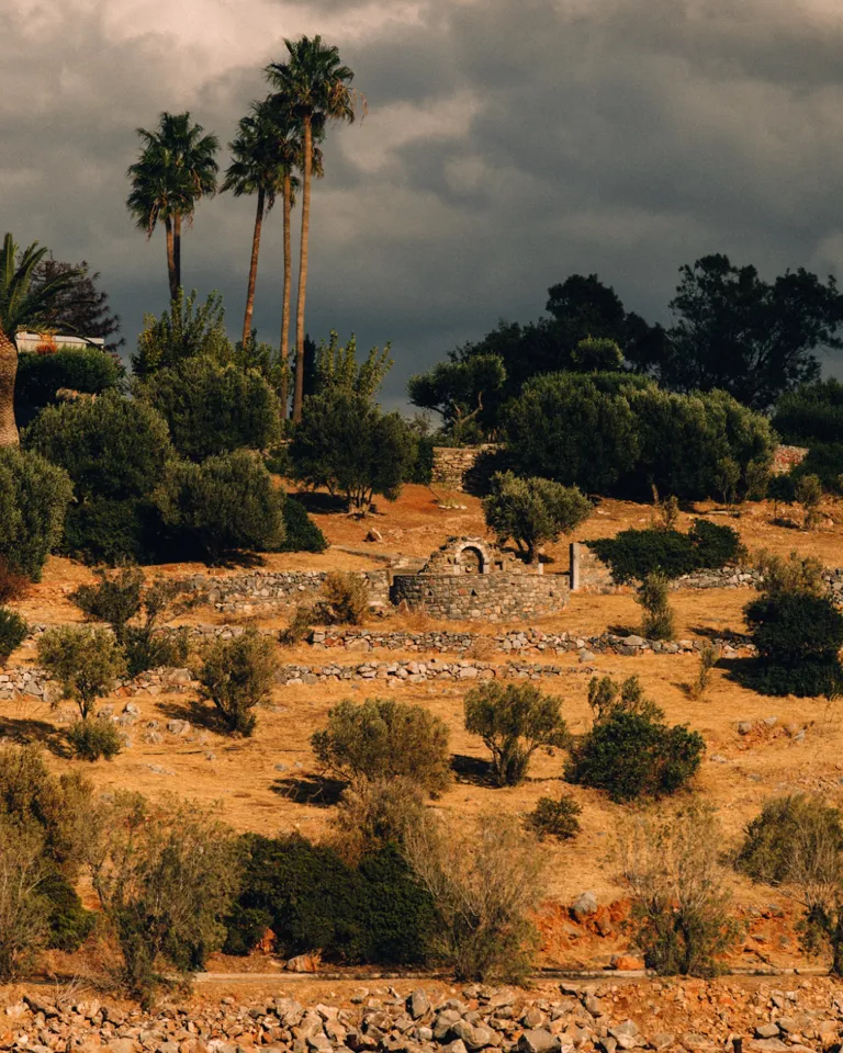 003 MBO Minos Art Beach