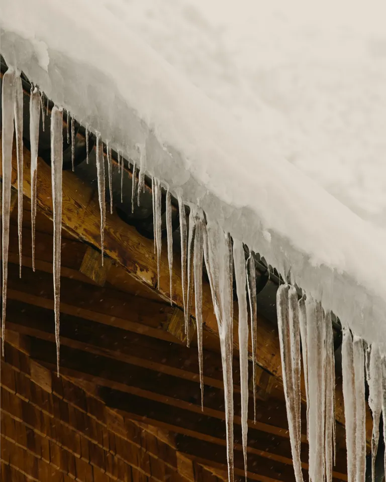 006 Rote Wand Walch Icicles