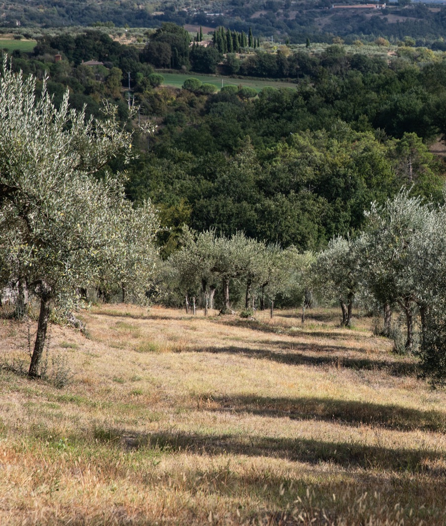 Rastrello Boutique Hotel Theme Box 03 Food And Drink 3