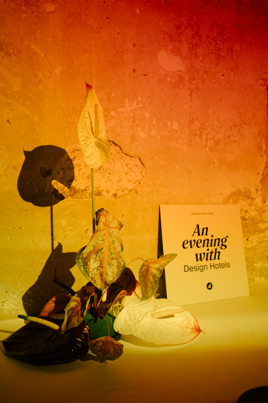 DH24 SALES CE Paris Travelpro 14