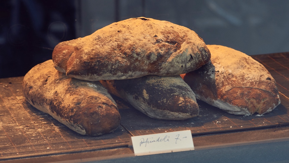 12 Culture Blogpost Fall Foliage