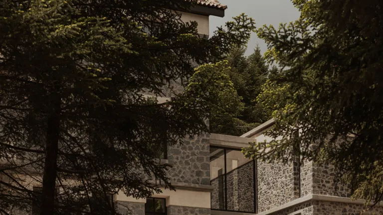 SP Manna Journal Article Design 5