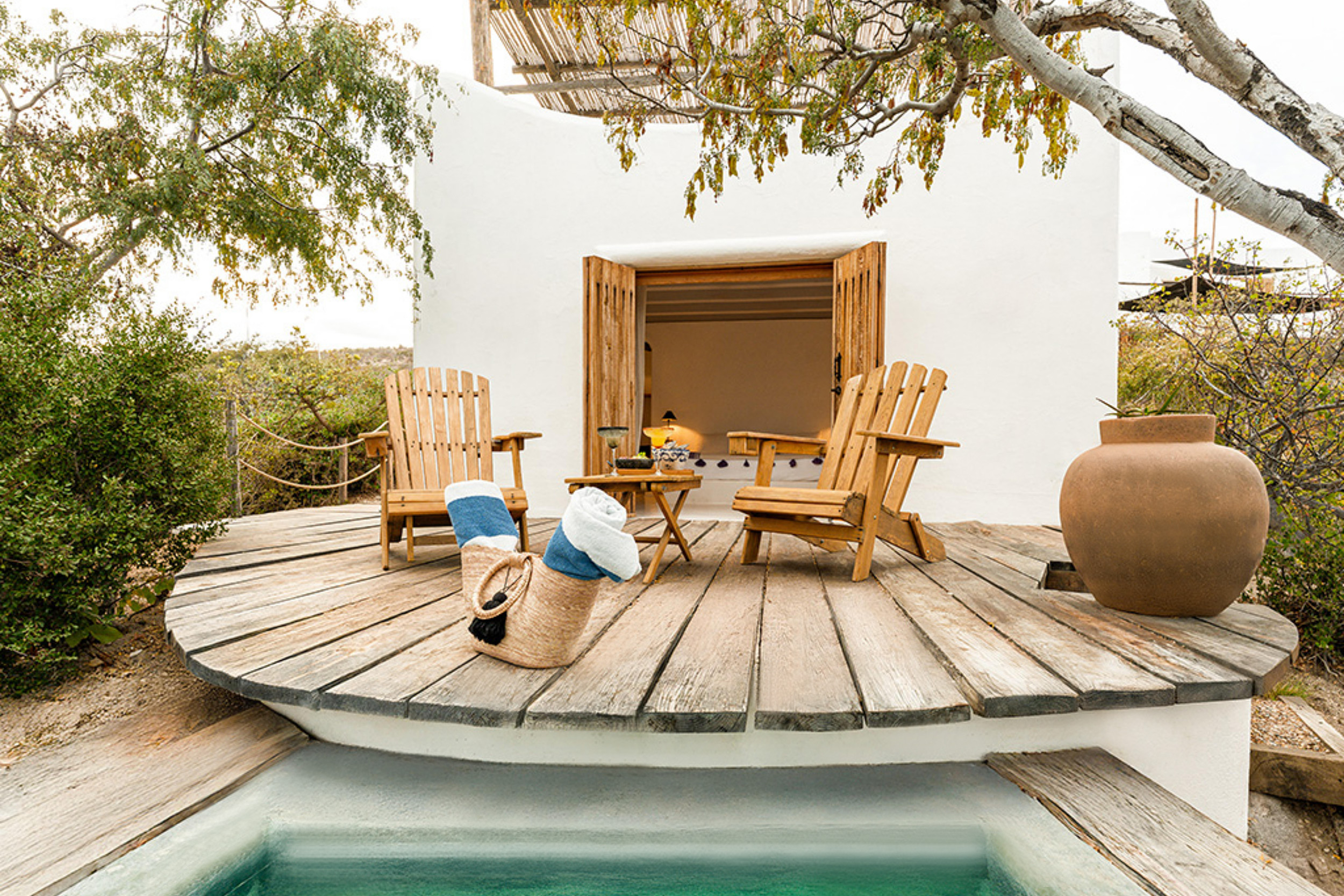 G 14 Nest Baja Mexico