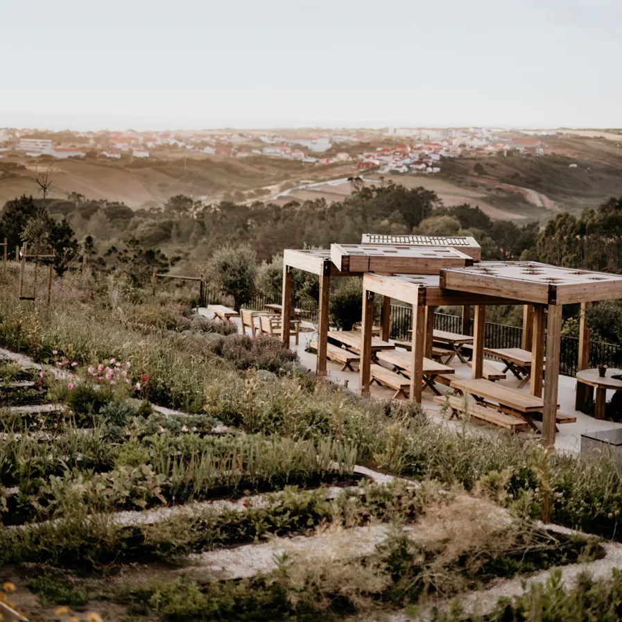 Conscious Eye Immerso 01