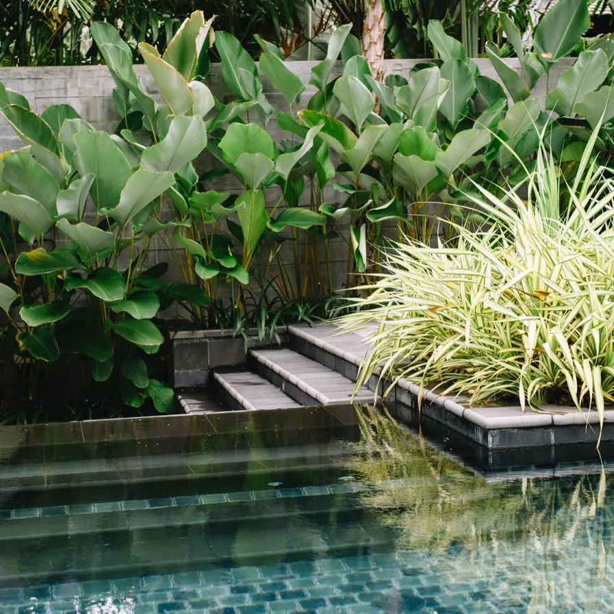 Concious Eye Slate 01