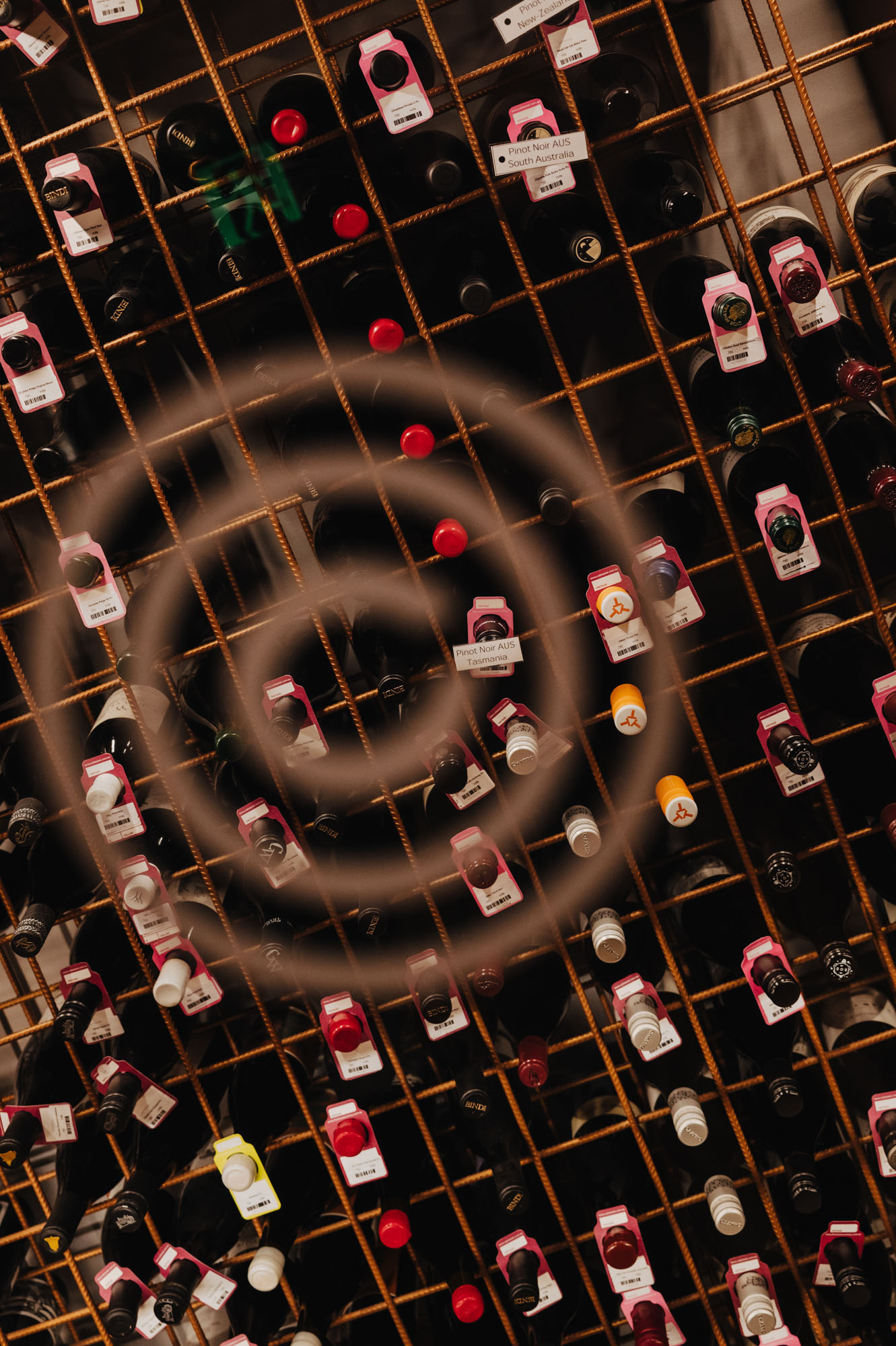 DH25 Sessions Melbourne Gallery 21