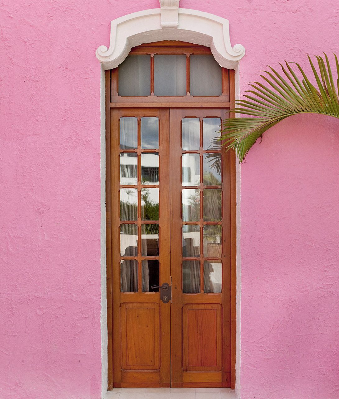 Rosas and Xocolate View in Merida
