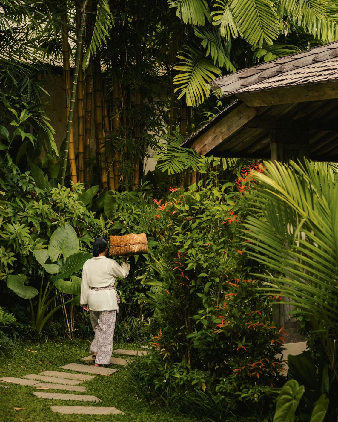 06 2 Sneak Peak Magia De Uma Garden