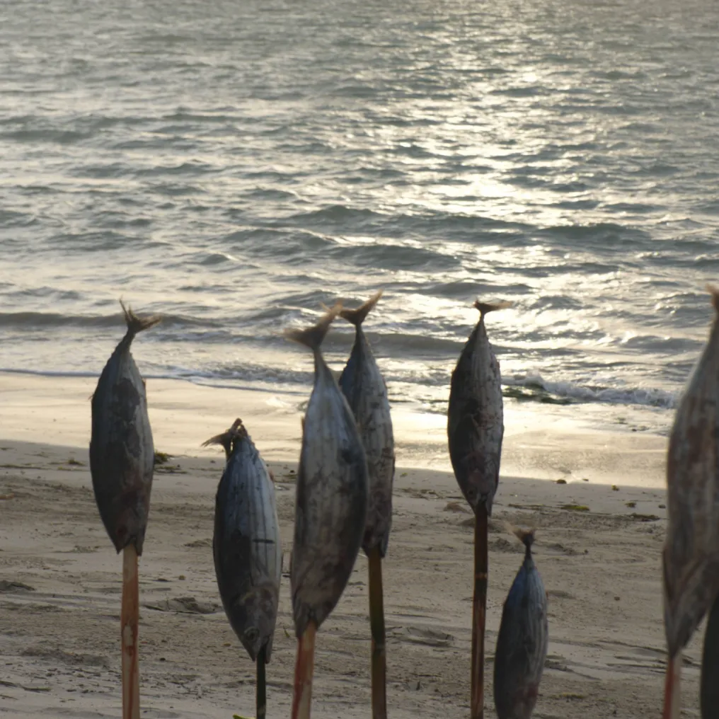 Innit Lombok Theme Box 02 Food And Drink 1.2