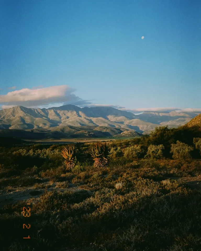 TGT Christian Naehtler 02