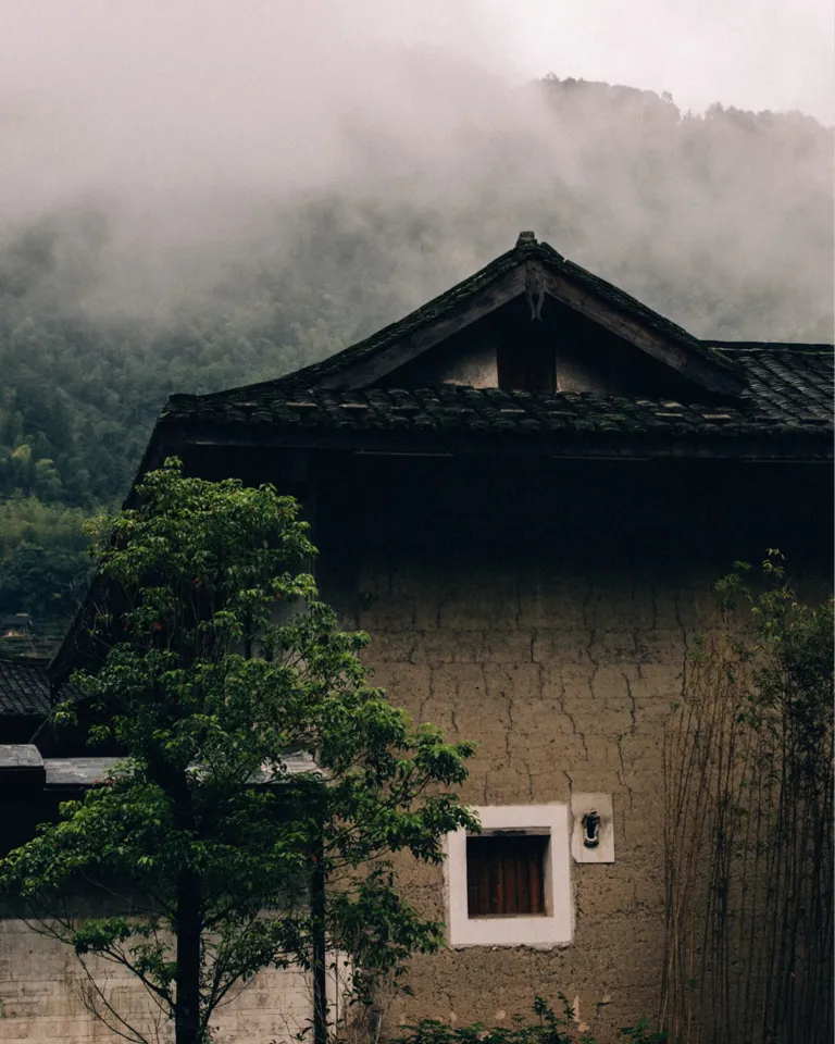 008 Foggy Destinations BP