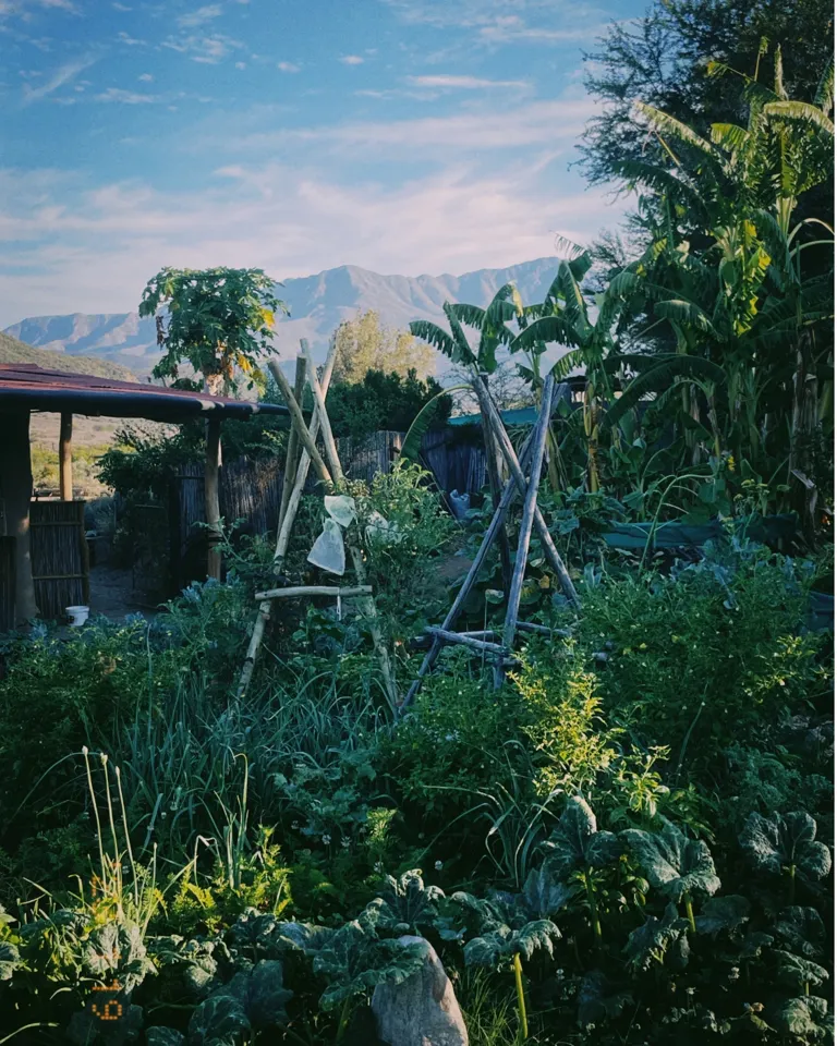 TGT Christian Naehtler 17