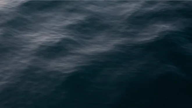 14 MBO Filario Hotel And Residences Waves