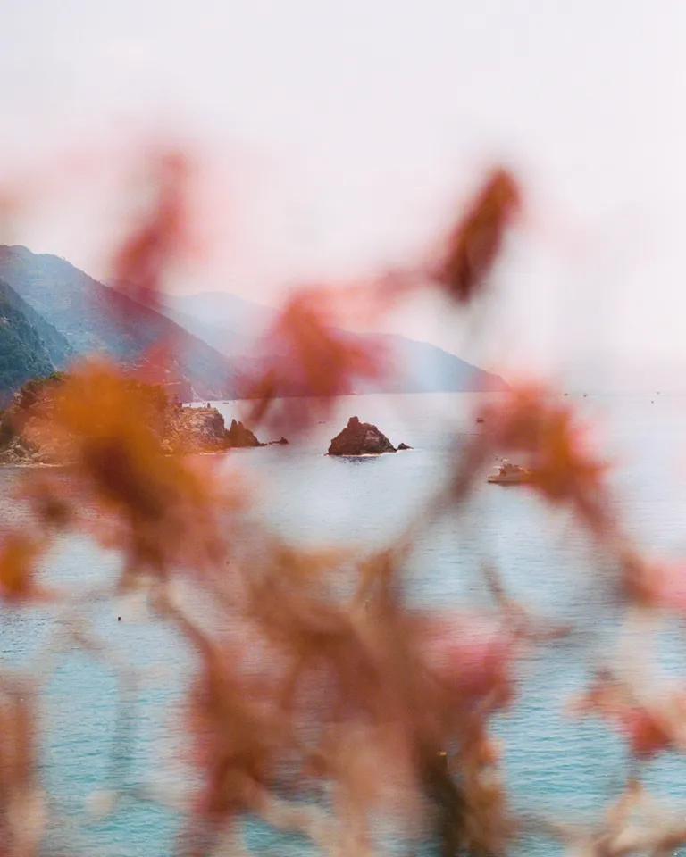 DH Culture BP Arianna Lago 09