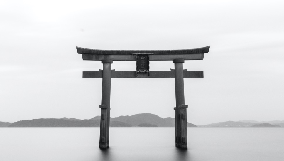 DH Japan Bullet Train 13